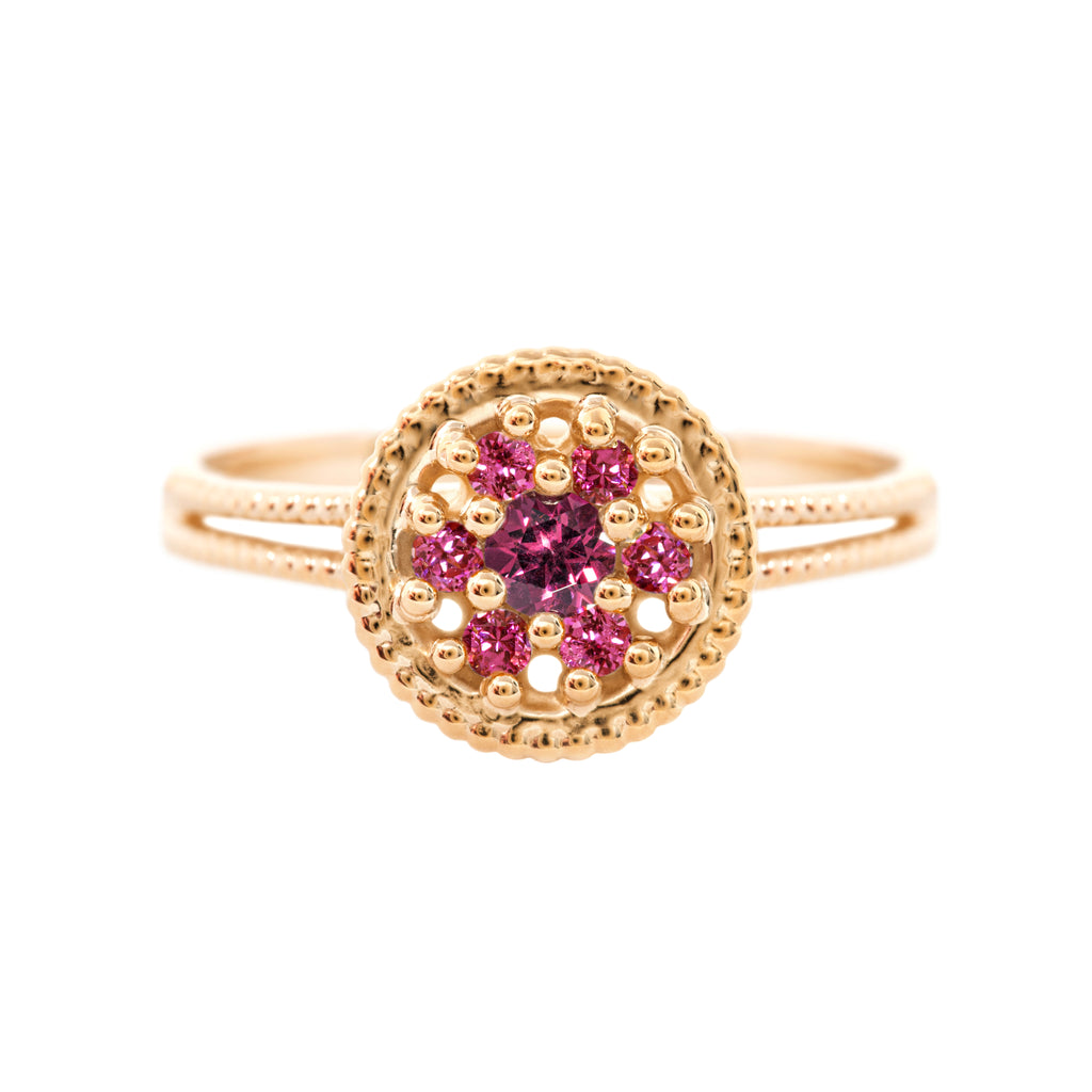 Merkaz Ring, Raspberry