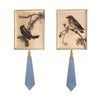 Songbird Droplet Studs