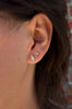 Trandafir Studs, Diamond