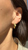 Wobble Hoops, Bronze