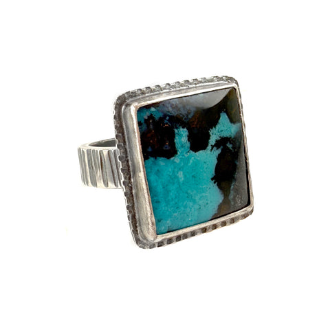 Hammered Lines Petrified Wood Ring