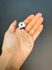 Safety Pin
