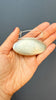 Seeded Brooch
