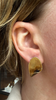Exposed Ovals, Small, Nova/Browns