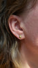 Terrapin Studs