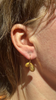 Paisley Earrings