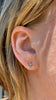 Clover Studs, Light Blue Sapphire