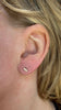 Catherine Studs