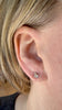 June Studs