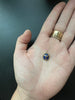 Lucky Scarab Charm, Blue Star Sapphire