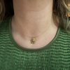 Horseshoe Necklace
