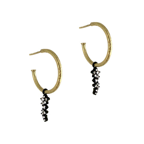 Hoop and Charm Earrings