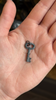 Skeleton Key Charm