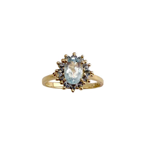 Spectacol Ring, Sky