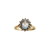 Spectacol Ring, Sky
