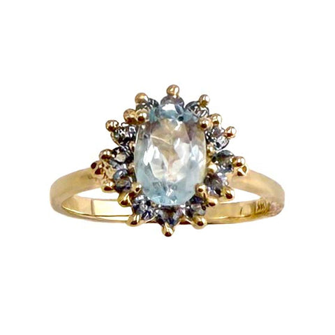 Spectacol Ring, Sky