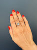 Spectacol Ring, Sky