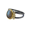 Double Band Ring with Labradorite