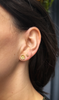 Efforvescent Studs