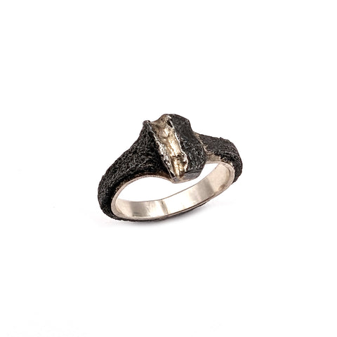 2 Nail Ring with Gold Seam