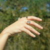 Lucky Scarab Ring, Labradorite