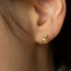 Golden South Sea Pearl Earrings