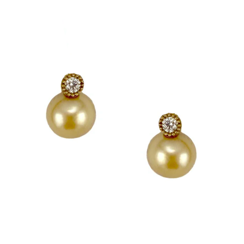 Golden South Sea Pearl Earrings