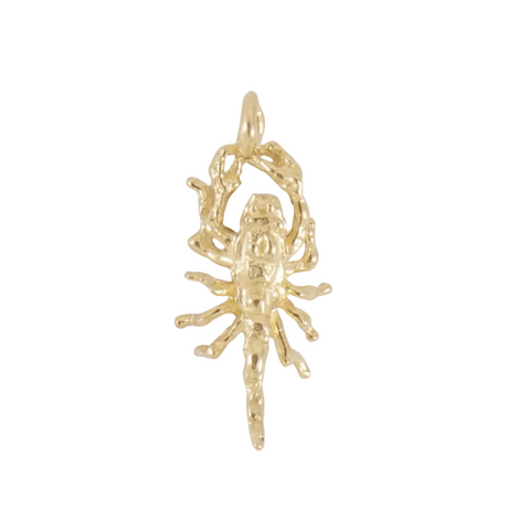 Scorpion Charm