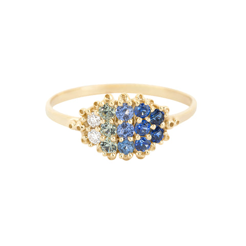 Fereastra Ring, Blue Grass